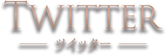 ツイッターのタイトル